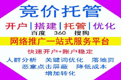 专业SEM托管：企业广告投放的明智之选